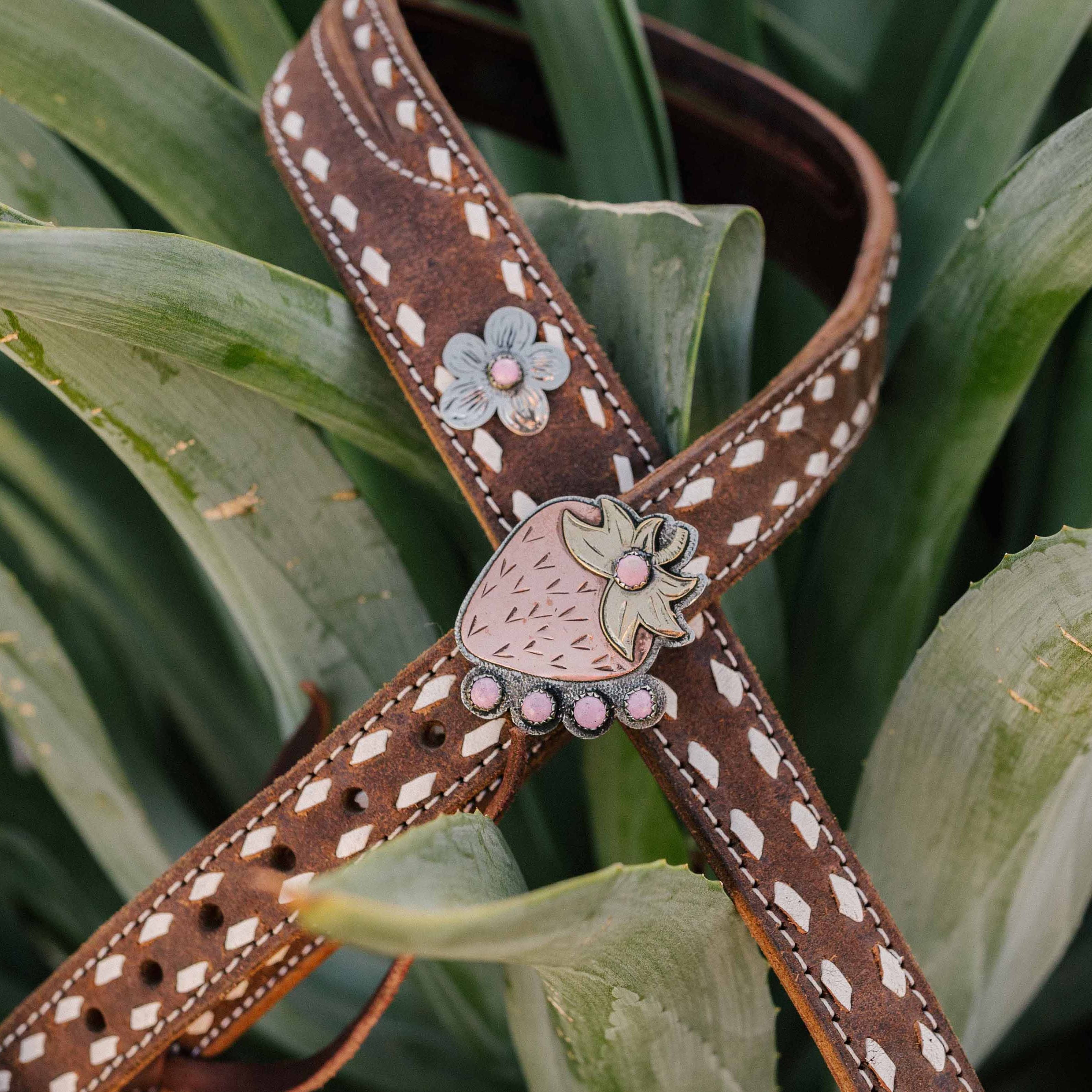 PasoRoblesphotographer-pasoroblesweddingphotographer-wickenburgaz-Therowdyrose-shelbycaitlinphotography-strawberry headstall-strawberryfestival-therowdyrosecollection