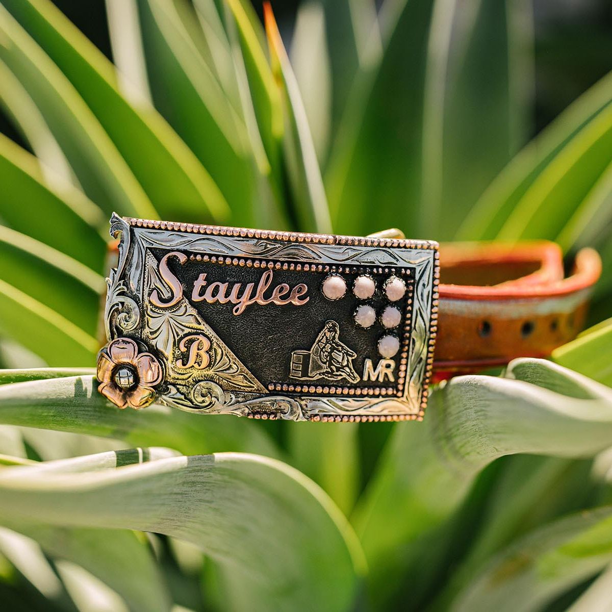 PasoRoblesphotographer-wickenburgaz-customsilver-TheRowdyRose-shelbycaitlinphotography